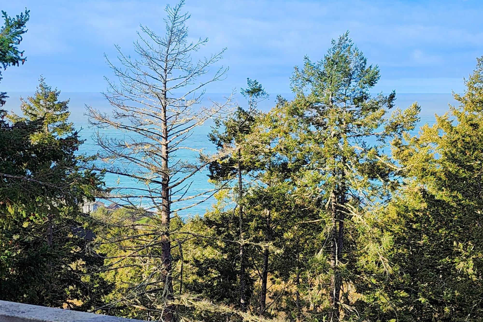 Вілла Happy Hill Retreat Shelter Cove Номер фото